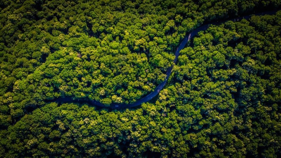 amazon1 - The Amazon: a paradise lost?