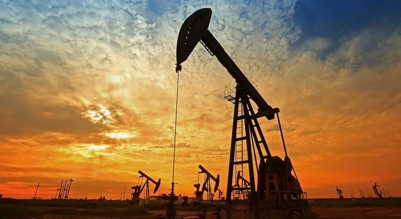 New reserves hydrocarbon discovered in Sindh
