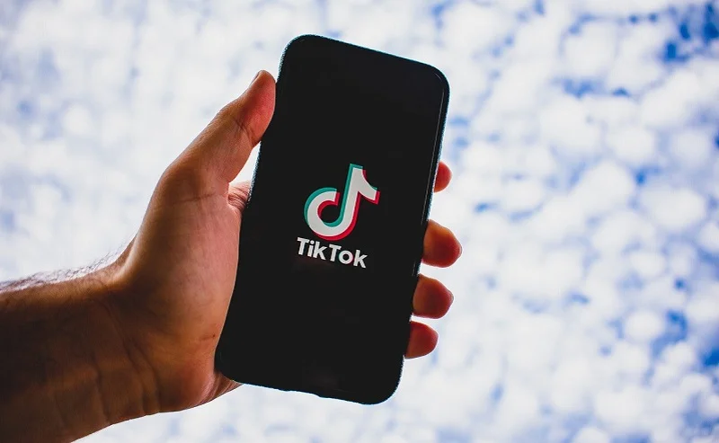 TikTok launches awareness drive against hoaxes