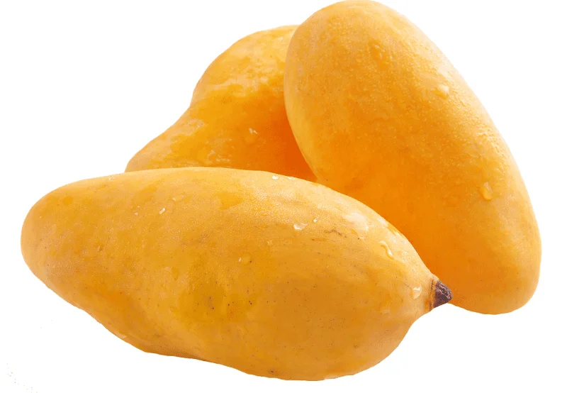 First shipment of Pakistani mangoes reaches China