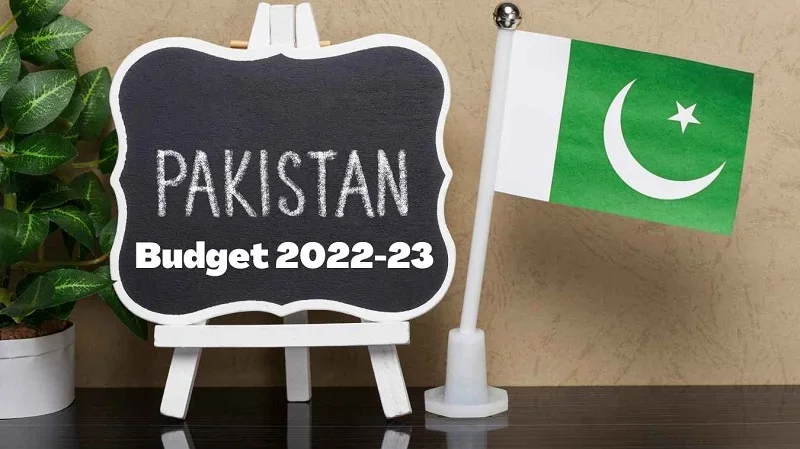 Govt unveils Rs9.502 trn budget to protect ailing economy