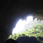 Chinese researchers reveal law of cave biotic colonization in subtropical East Asia