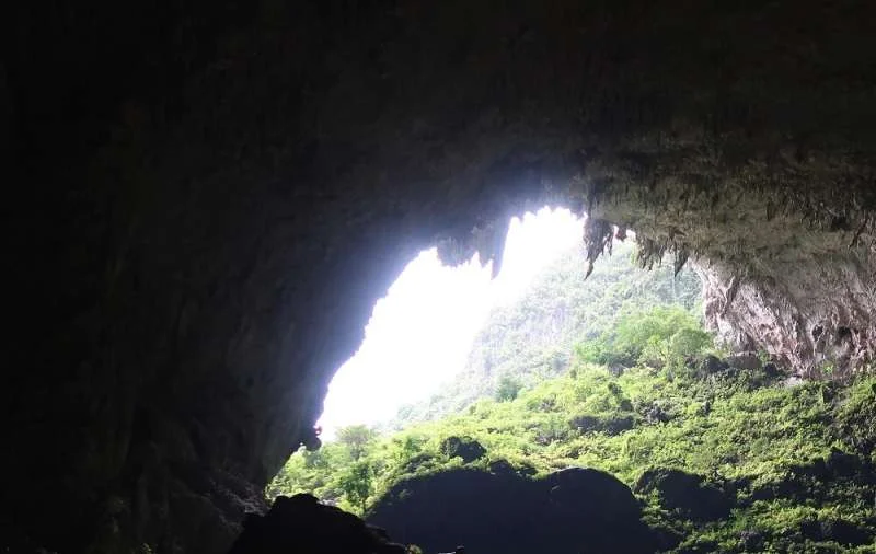 Chinese researchers reveal law of cave biotic colonization in subtropical East Asia